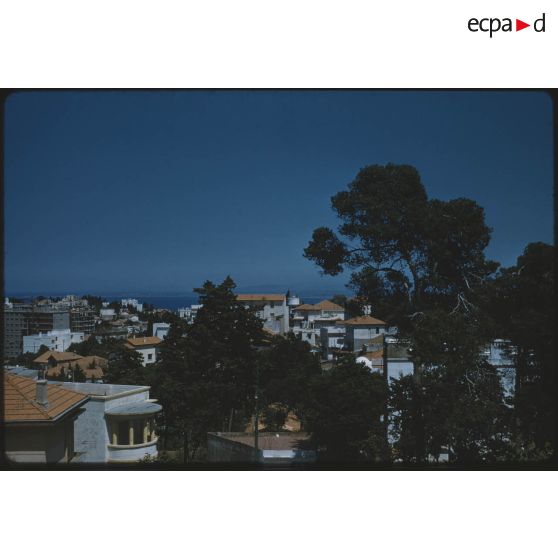 [Immeubles d'Alger].