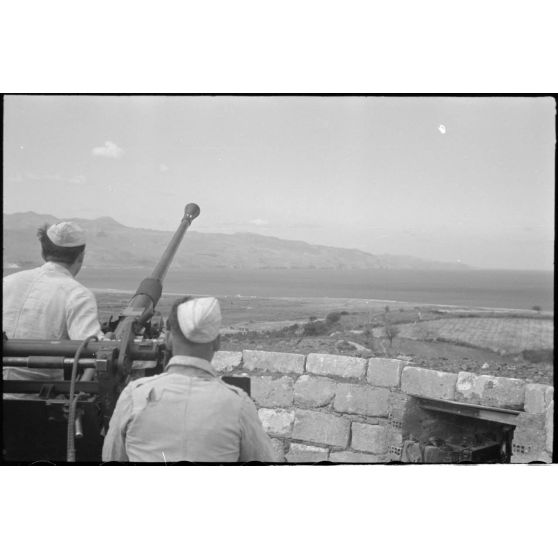 En Crète dans le secteur de Maleme, des artilleurs allemands derrière un canon de 3,7 cm FlaK 36.