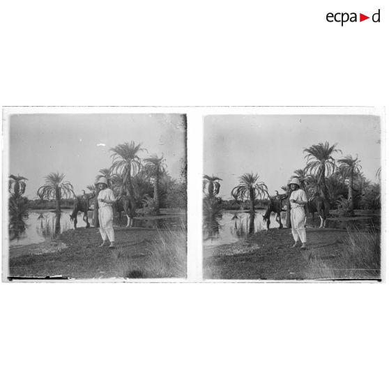 [Officier colonial et cheval s'abreuvant au bord d'une rivière].<br>