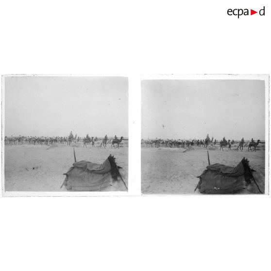 [Caravanes de dromadaires].