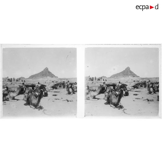 [Caravane de dromadaires au repos].<br>