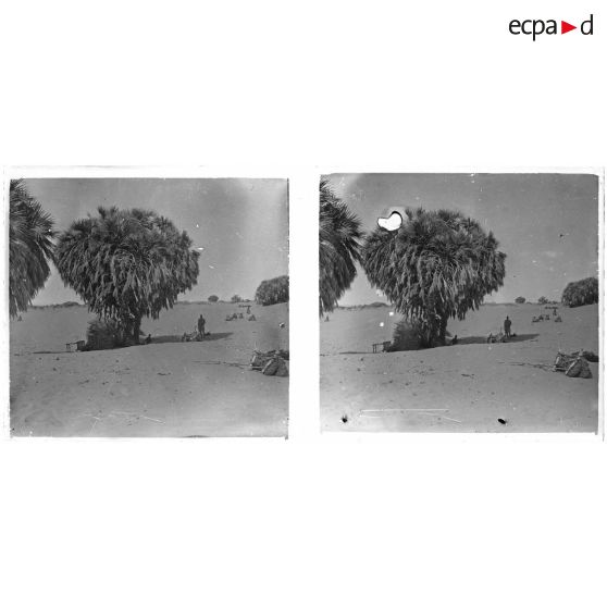 [Tchad. Bivouac au pied d'un arbre].<br>