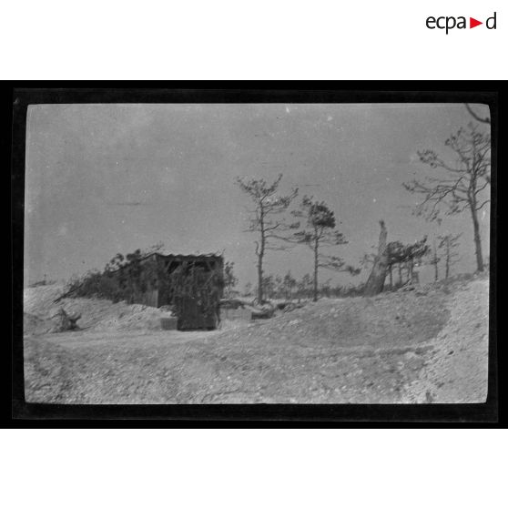 [Un abri camouflé].