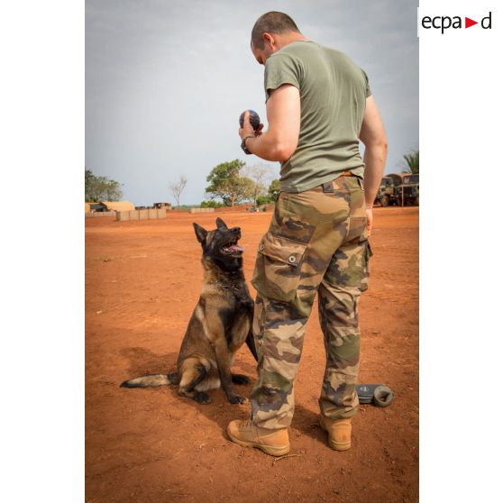 Caiser, un des chiens de la plateforme opérationnelle de défense de Bambari, joue à son jeu favori avec son maître.