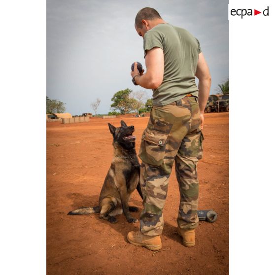 Caiser, un des chiens de la plateforme opérationnelle de défense de Bambari, joue à son jeu favori avec son maître-chien.