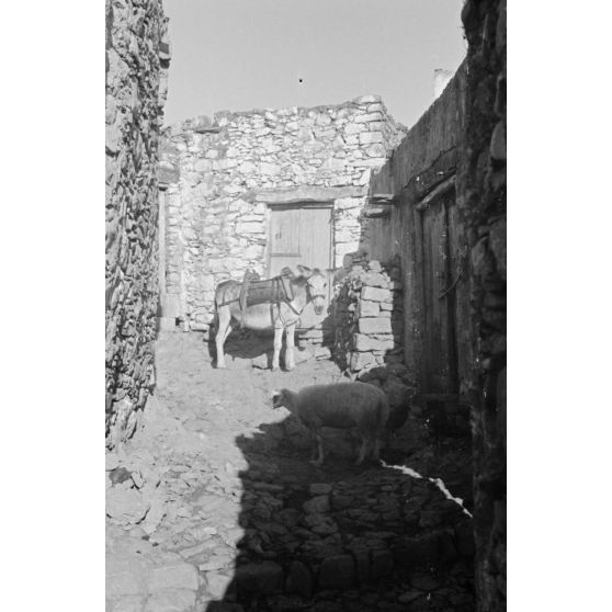 Le village Xidas (Crète).