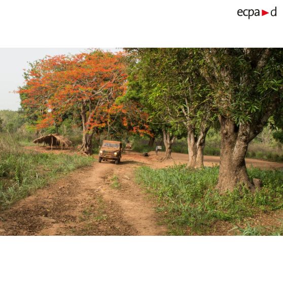 Deux Peugeot P4 transportant les soldats d'une demi-section du GTIA (groupement tactique interarmes) Turco évoluent sur une route de campagne lors d'une reconnaissance d'axe entre Bindi et Bambari.
