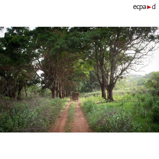 Un PVP transportant les soldats d'une demi-section du GTIA (groupement tactique interarmes) Turco évolue sur une route de campagne lors d'une reconnaissance d'axe entre Bindi et Bambari.