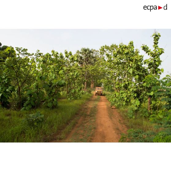 Une Peugeot P4 transportant les soldats d'une demi-section du GTIA (groupement tactique interarmes) Turco évolue sur une route de campagne lors d'une reconnaissance d'axe entre Bindi et Bambari.