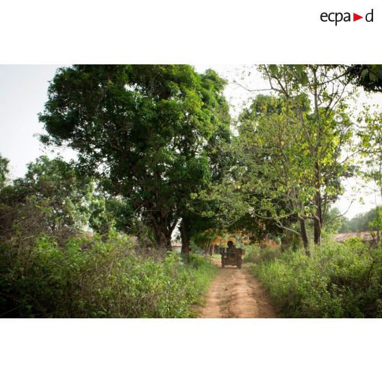 Un PVP transportant les soldats d'une demi-section du GTIA (groupement tactique interarmes) Turco évolue sur une route de campagne lors d'une reconnaissance d'axe entre Bindi et Bambari.