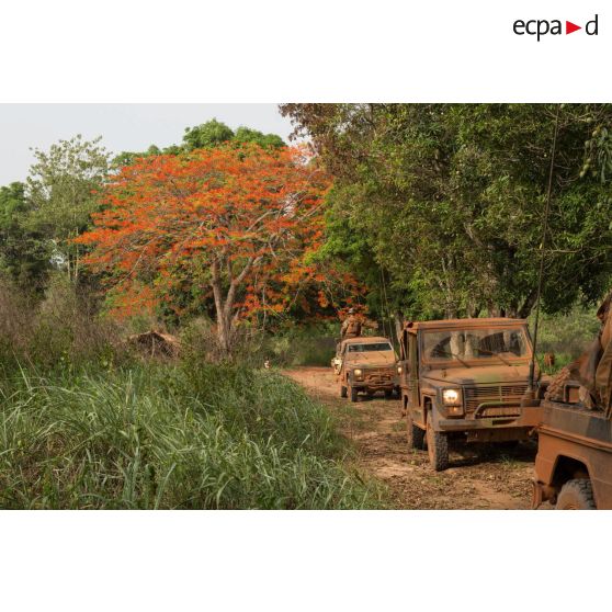 Trois Peugeot P4 dont une modèle P (modèle blindé) transportant les soldats d'une demi-section du GTIA (groupement tactique interarmes) Turco, évoluent sur une route de campagne lors d'une reconnaissance d'axe entre Bindi et Bambari.