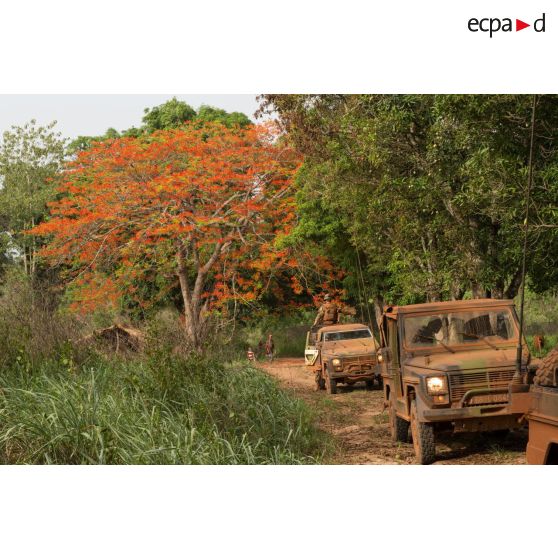 Trois Peugeot P4 dont une modèle P (modèle blindé) transportant les soldats d'une demi-section du GTIA (groupement tactique interarmes) Turco, évoluent sur une route de campagne lors d'une reconnaissance d'axe entre Bindi et Bambari.