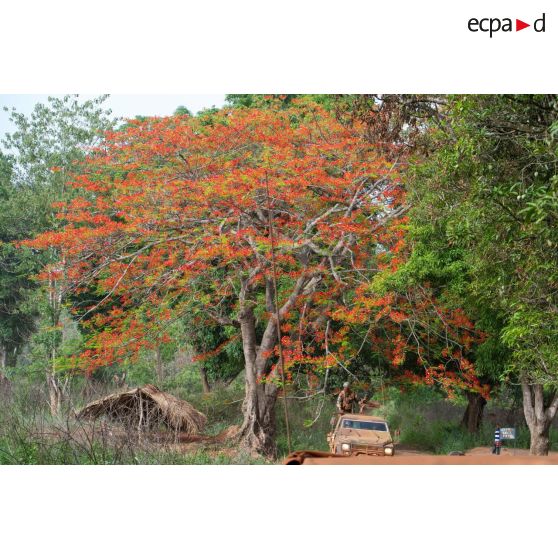 Une Peugeot P4 P (modèle blindé) transportant les soldats d'une demi-section du GTIA (groupement tactique interarmes) Turco, évolue sur une route de campagne lors d'une reconnaissance d'axe entre Bindi et Bambari.