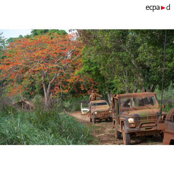Trois Peugeot P4 dont une modèle P (modèle blindé) transportant les soldats d'une demi-section du GTIA (groupement tactique interarmes) Turco, évoluent sur une route de campagne lors d'une reconnaissance d'axe entre Bindi et Bambari.