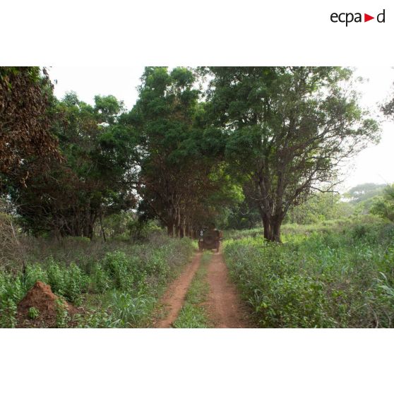 Un PVP transportant les soldats d'une demi-section du GTIA (groupement tactique interarmes) Turco évolue sur une route de campagne lors d'une reconnaissance d'axe entre Bindi et Bambari.