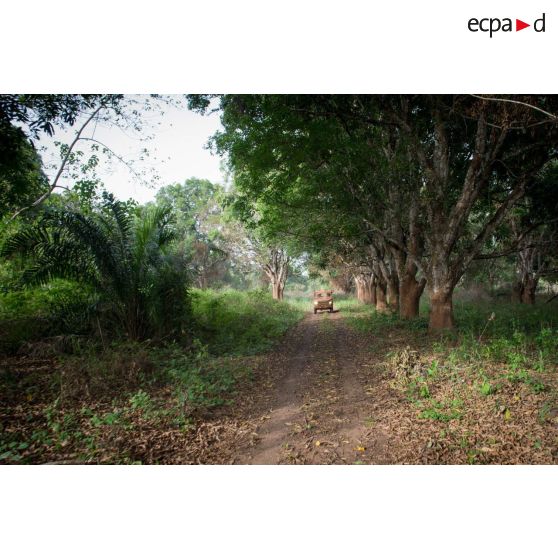 Un PVP transportant les soldats d'une demi-section du GTIA (groupement tactique interarmes) Turco évolue sur une route de campagne lors d'une reconnaissance d'axe entre Bindi et Bambari.