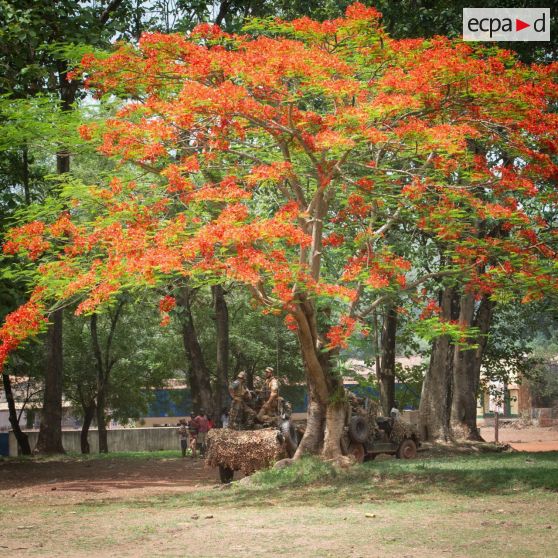 Éléments du GCM (groupement des commandos de montagne) du GTIA (groupement tactique interarmes) Vercors patrouillant à bord d'une Peugeot P4 dans le centre-ville de Bambari.