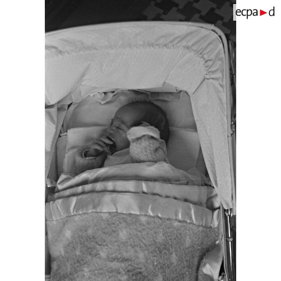 Enfant des Perrin à Alger. [légende d'origine]