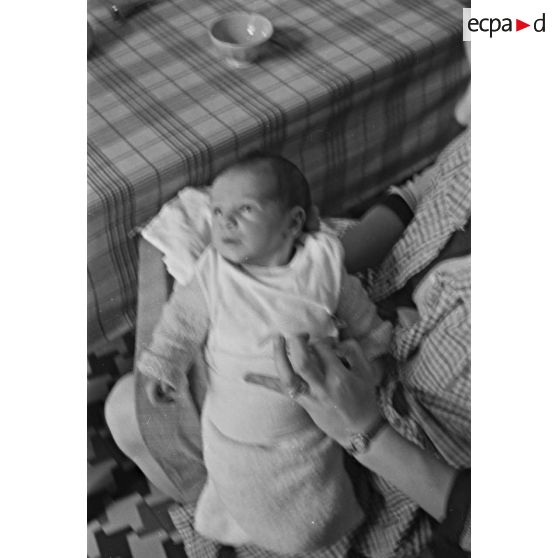 Enfant des Perrin à Alger. [légende d'origine}