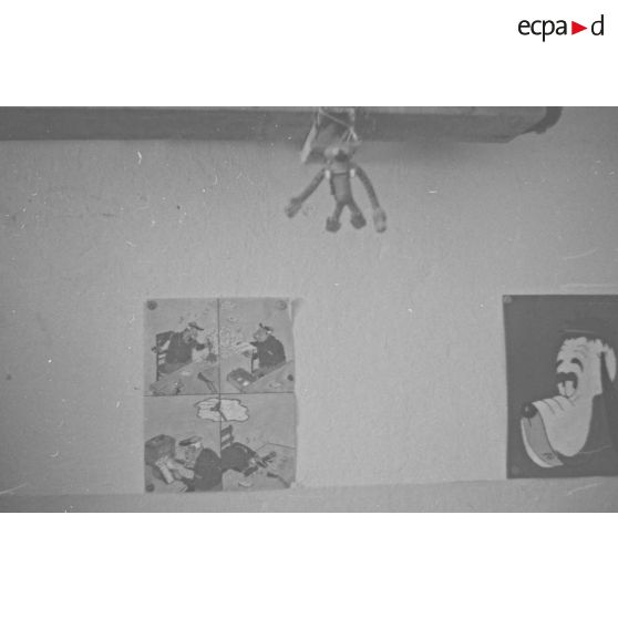 Vue de chambrée : Droopy, marsupilami envoyé par frère de M. Perrin. [légende d'origine]