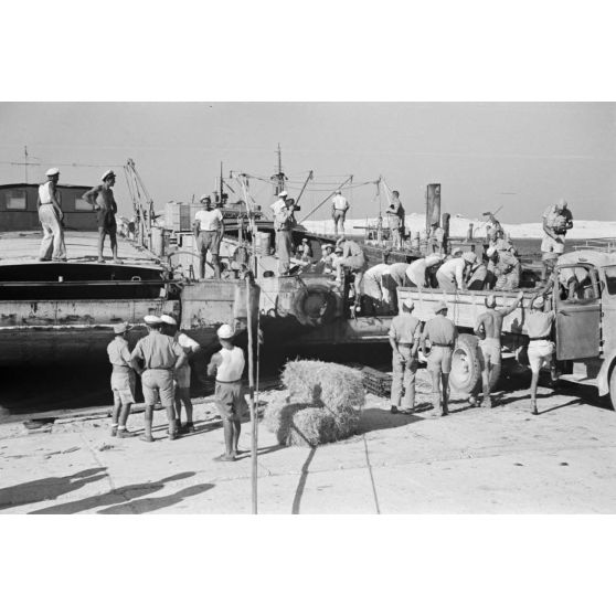 Dans le port de Marsa Matruh, le déchargement du ravitaillement de l'Axe par des prisonniers anglais et néo-zélandais.