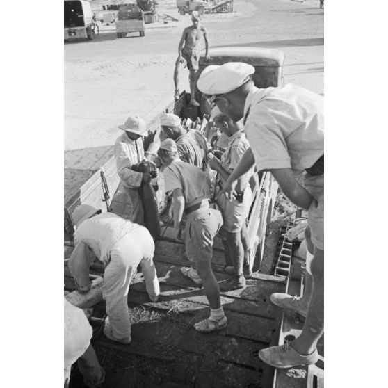 Dans le port de Marsa Matruh, le déchargement du ravitaillement de l'Axe par des prisonniers anglais et néo-zélandais.