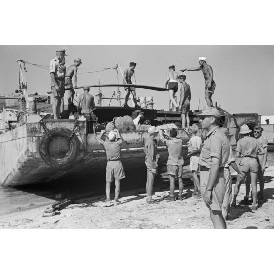 Déchargement d'un Marinefährprahm de la marine allemande (Kriegsmarine), ici la cargaison est constituée de bêtes (chèvres et de moutons).