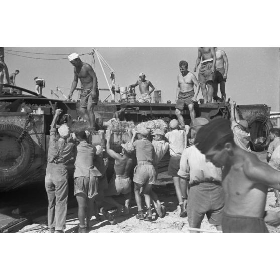 Déchargement d'un Marinefährprahm de la marine allemande (Kriegsmarine), ici la cargaison est constituée de bêtes (chèvres et de moutons).