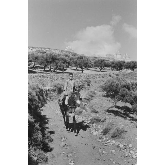 Non loin de Xidas, un enfant sur le dos d'un âne.