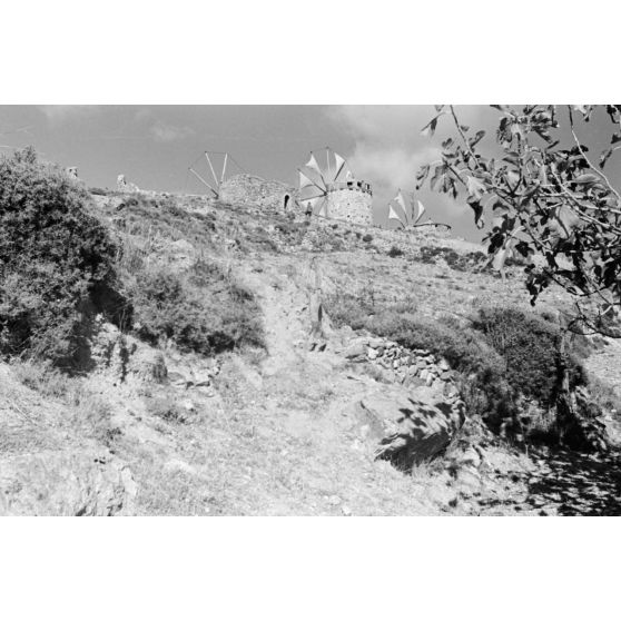 Les moulins à vent sur les hauteurs de Xidas (Crète).