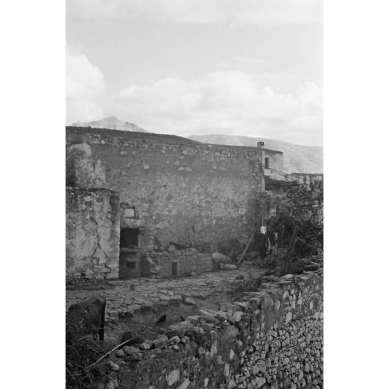 La cour d'une ferme à Polithéa.