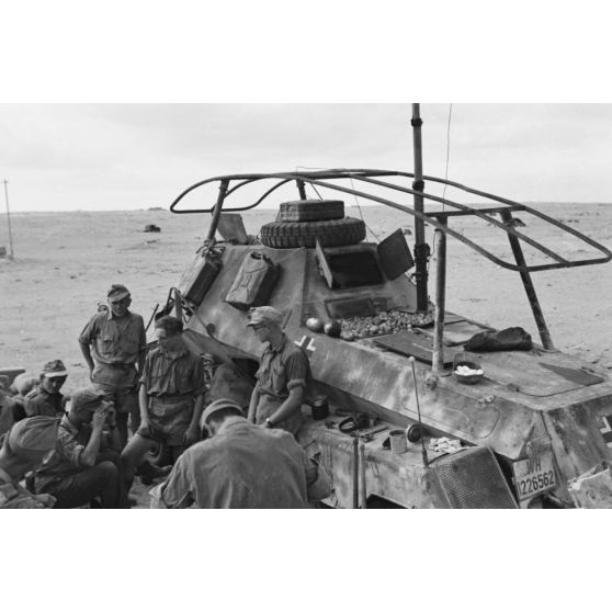 Des tomates terminent de murir sur le toit d'un semi-chenillé de reconnaissance Sd.Kfz.263 Funkspahwagen (8-rad) immatriculé WH-1226552.