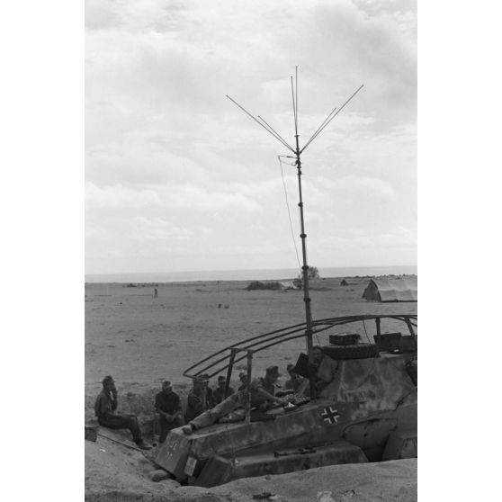 Des tomates terminent de murir sur le toit d'un semi-chenillé de reconnaissance Sd.Kfz.263 Funkspahwagen (8-rad) immatriculé WH-1226552.