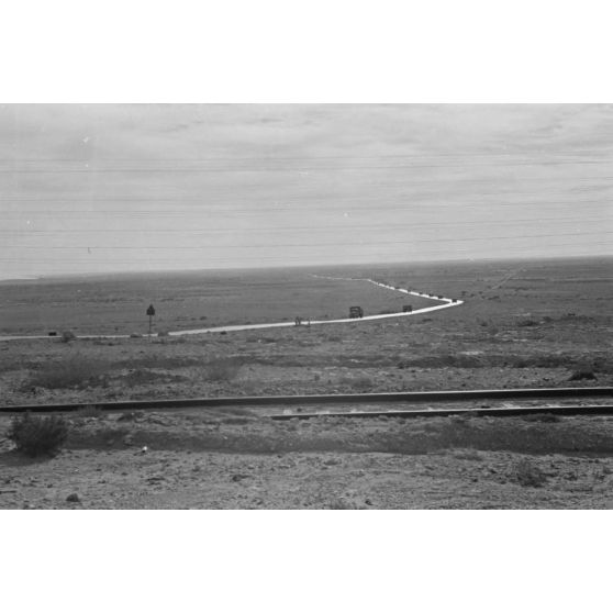 En Egypte, à 100 kilomètres du front d'El Alamein, des travaux agraires à l'aide d'un dromadaire.