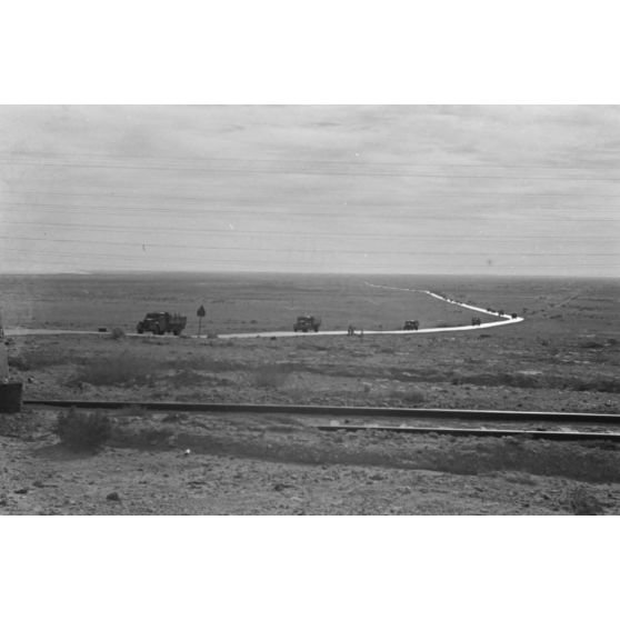 En Egypte, à 100 kilomètres du front d'El Alamein, des travaux agraires à l'aide d'un dromadaire.