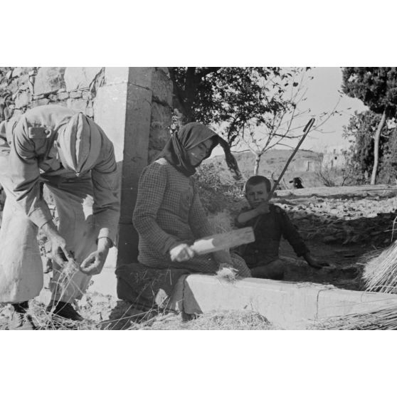 A Xidas, une femme récolte du lin.