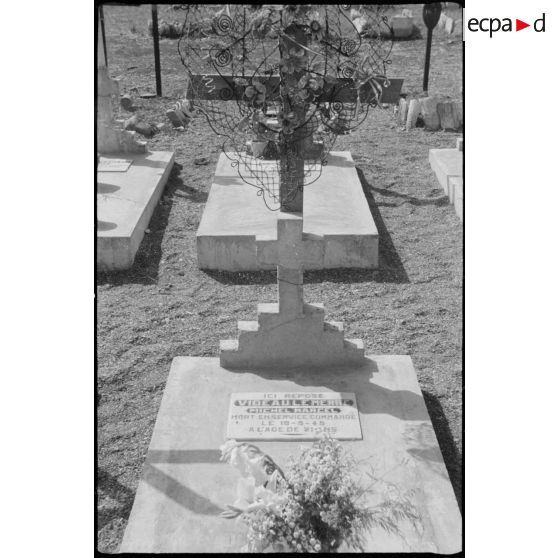 Cimetière militaire de Cherchell.