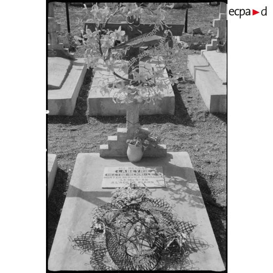 Cimetière militaire de Cherchell.