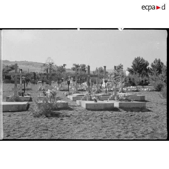 Cimetière militaire de Cherchell.