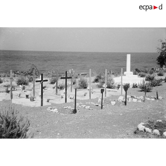 Cimetière militaire de Cherchell.