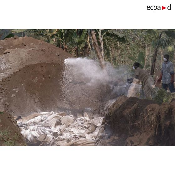 Un volontaire civil jette de la chaux sur des cadavres dans une fosse commune à Goma.