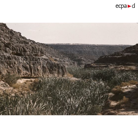 Tamadjert. [légende d'origine]