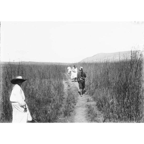 Route d'Ihosy à Betroka. [légende d'origine]