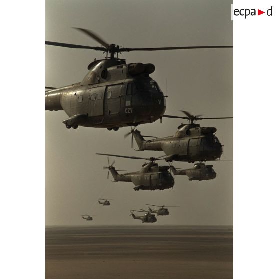 Les hélicoptères de transport Puma du 1er RHC (régiment d'hélicoptères de combat) en vol pour héliportage du 1er RI (régiment d'infanterie) au nord de la zone française.