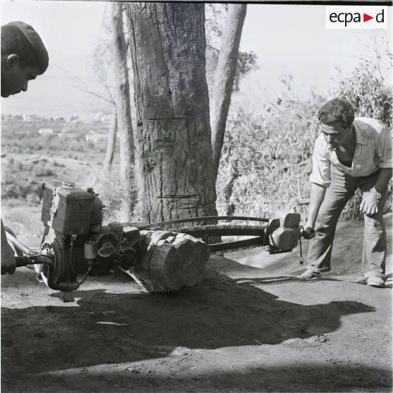 [Algérie, 1958-1961. Le tronçonnage d'un tronc.]
