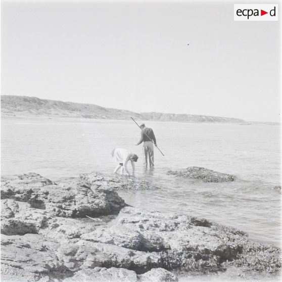 [Le littoral algérien, 1958-1962.]