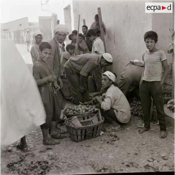 [Algérie, 1954-1962.]