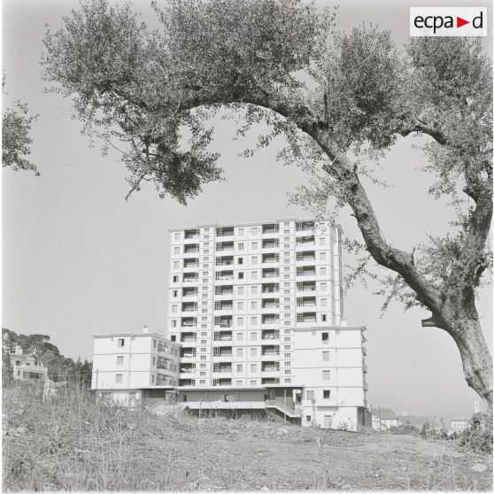 [Un immeuble en Algérie, 1954-1962.]