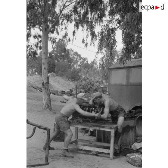 Des mécaniciens du Nachschubkolonne Abteilung 909.