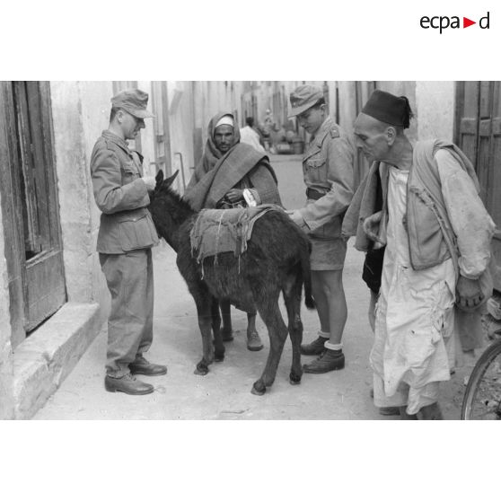 A Tripoli, rencontres et achats dans le marché.